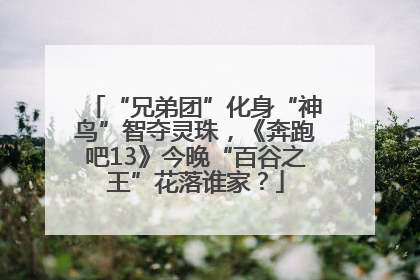 “兄弟团”化身“神鸟”智夺灵珠，《奔跑吧13》今晚“百谷之王”花落谁家？